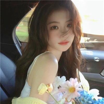 哈兰·科本的庇护所