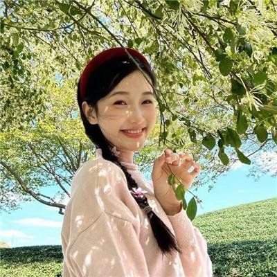 法网缉凶